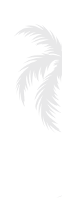 bg-vector